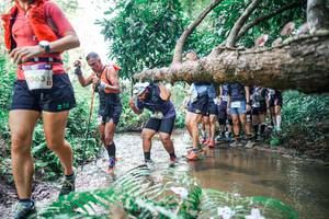 BIB: 
                            <button type="button" onclick="openModal(25473074)" class="btn btn-primary btn-sm float-right btn-popup" data-toggle="modal" data-target=".modal-high-quality">
                        <i class="fas fa-shopping-cart"></i> Add to Cart
                    </button>
                                            <button type="button" onclick="isThisMe(25473074, true)" class="btn btn-success btn-sm float-right btn-popup btn-isme hidden" data-toggle="tooltip" data-placement="bottom" title="นี่คือรูปของคุณใช่ไหม คลิกที่นี่เพื่อเอาเข้าอัลบั้ม">
                        <i class="fas fa-plus"></i> Add to album
                    </button>
                    <button type="button" onclick="isThisMe(25473074, false)" class="btn btn-warning btn-sm float-right btn-popup btn-isnotme hidden">
                        <i class="fas fa-ban"></i> Remove from album
                    </button>